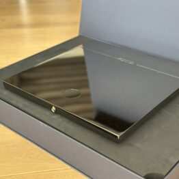 DEVIALET EXPERT 220 PRO